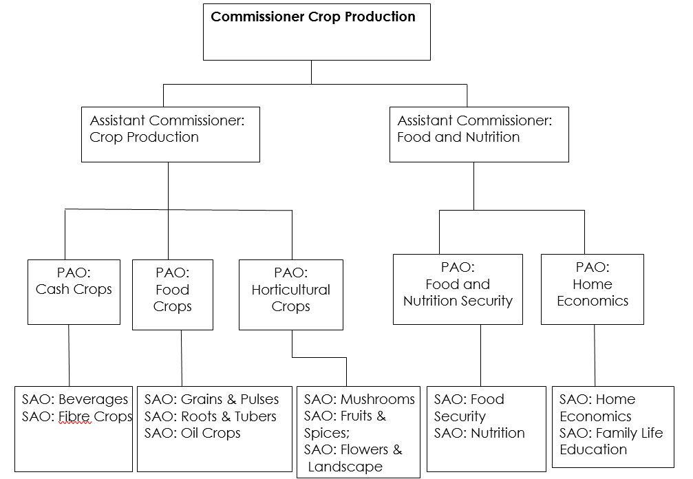 organisaton